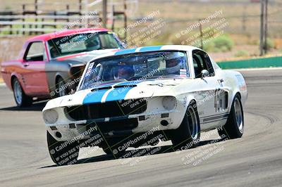 media/May-11-2025-Cobra Club (Sun) [[44ca44ec33]]/Passenger/